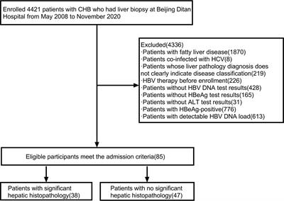 Study on pathological and clinical characteristics of chronic HBV infected patients with HBsAg positive, HBV DNA negative, HBeAg negative